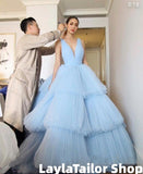 Elegant V-Neck Baby Blue Tulle Ball Gown Long Prom HZ0307