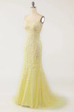 Mermaid Lace Long Prom HZ0307