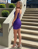 LTP1771,Purple Sequined Homecoming Dresses, V-Neck Backless Graduation HZ0307