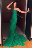 Mermaid Lace Long Prom HZ0307