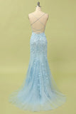 Mermaid Lace Long Prom HZ0307