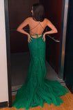 Mermaid Lace Long Prom HZ0307