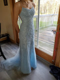 Mermaid Lace Long Prom HZ0307