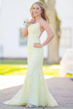 Mermaid Lace Long Prom HZ0307