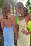 Mermaid Appliques Cross Back Long Prom HZ0307
