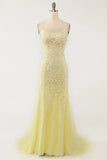 Mermaid Lace Long Prom HZ0307