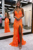 Luxury Sequins Feather Bodycon Long Evening Prom HZ0307