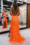 Luxury Sequins Feather Bodycon Long Evening Prom HZ0307