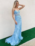 Elegant Lavender Lace Applique Long Prom HZ0307