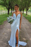 Light Blue Sequin Fitted Formal Dress with 3D HZ0307