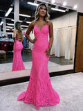Sexy Mermaid Lace 2024 Prom Dress Long Party HZ0307