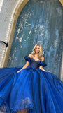 A-Line Organza Beaded Long Prom Dress Evening Formal HZ0307