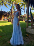 LTP1197,Deep V-neck Lace Newest Long Prom Dresses, A-line Prom Dresses,2025 Girl Evening Party HZ0307