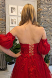Sweetheart Red Appliques Tulle A-line Formal HZ0307