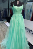 Spaghetti Straps A-line Prom Dresses Tulle Appliqued HZ0307