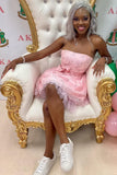 Barbie Pink Sleeveless Homecoming Dresses Lace Mini Party Gown, HZ0307