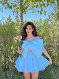 LTP1824,Sky Blue Chiffon Bowknot A-Line Homecoming Dresses, Cute Blue Homecoming HZ0307