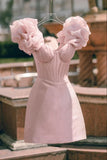 Charming Pink Homecoming Dresses, Short Sleeves Mini Birthday Dress, HZ0307