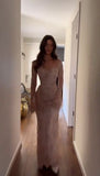 Charming Nude Lace Mermaid Prom Dresses Long Sleeves Party HZ0307