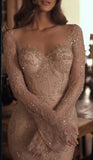 Charming Nude Lace Mermaid Prom Dresses Long Sleeves Party HZ0307