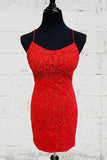 Cute Lace Tight Homecoming Dresses Tie Up Back Graduation Dress, HZ0307