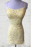 Cute Lace Tight Homecoming Dresses Tie Up Back Graduation Dress, HZ0307