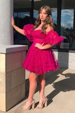 Cute Tulle A-Line Homecoming Dresses With Short Sleeves, HZ0307