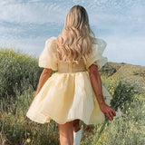 LTP1281,Pastel Yellow Organza Homecoming Dresses,Cute Hoco HZ0307