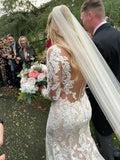 Long Sleeves Champagne Mermaid Wedding Dresses Lace Illusion Neck Bridal HZ0307