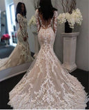 Long Sleeves Champagne Mermaid Wedding Dresses Lace Illusion Neck Bridal HZ0307
