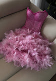 Luxury Pink Sweetheart Homecoming Dress, Feather Mini Homecoming Party HZ0307