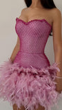 Luxury Pink Sweetheart Homecoming Dress, Feather Mini Homecoming Party HZ0307
