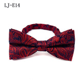 Fashion high quality men bow tie(free shipping when order with HZ0307