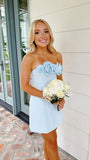 Pink/Sky Blue Homecoming Dress 3D Floral Short Hoco Dress, HZ0307