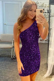 Popular Sequin Bodycon Homecoming Dresses, HZ0307