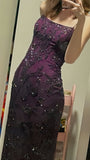 Purple Sheath Lace Prom Dresses Long Slim Evening Party HZ0307