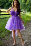 LTP1380,Purple High Low Homecoming HZ0307