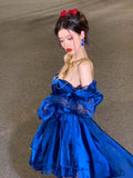 Royal Blue Organza High Low Party Dresses Long Sleeves Homecoming HZ0307