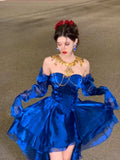 Royal Blue Organza High Low Party Dresses Long Sleeves Homecoming HZ0307