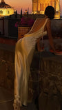 Sexy Backless Sheath Prom Dress, Sleeveless Night Party Dress, HZ0307