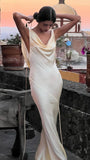 Sexy Backless Sheath Prom Dress, Sleeveless Night Party Dress, HZ0307