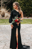 Sexy One Shoulder Long Sleeve Royal Blue Mermaid Party HZ0307