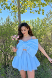 LTP1824,Sky Blue Chiffon Bowknot A-Line Homecoming Dresses, Cute Blue Homecoming HZ0307
