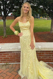 Straps Mermaid Blue Lace Appliqued Long Prom HZ0307