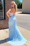Sleeveless Appliques Mermaid Long Prom HZ0307