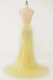Mermaid Lace Long Prom HZ0307
