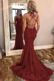 Lace Up Back Mermaid Appliques Long Evening Prom HZ0307