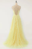 Spaghetti Straps A-Line Tulle Lace Prom HZ0307