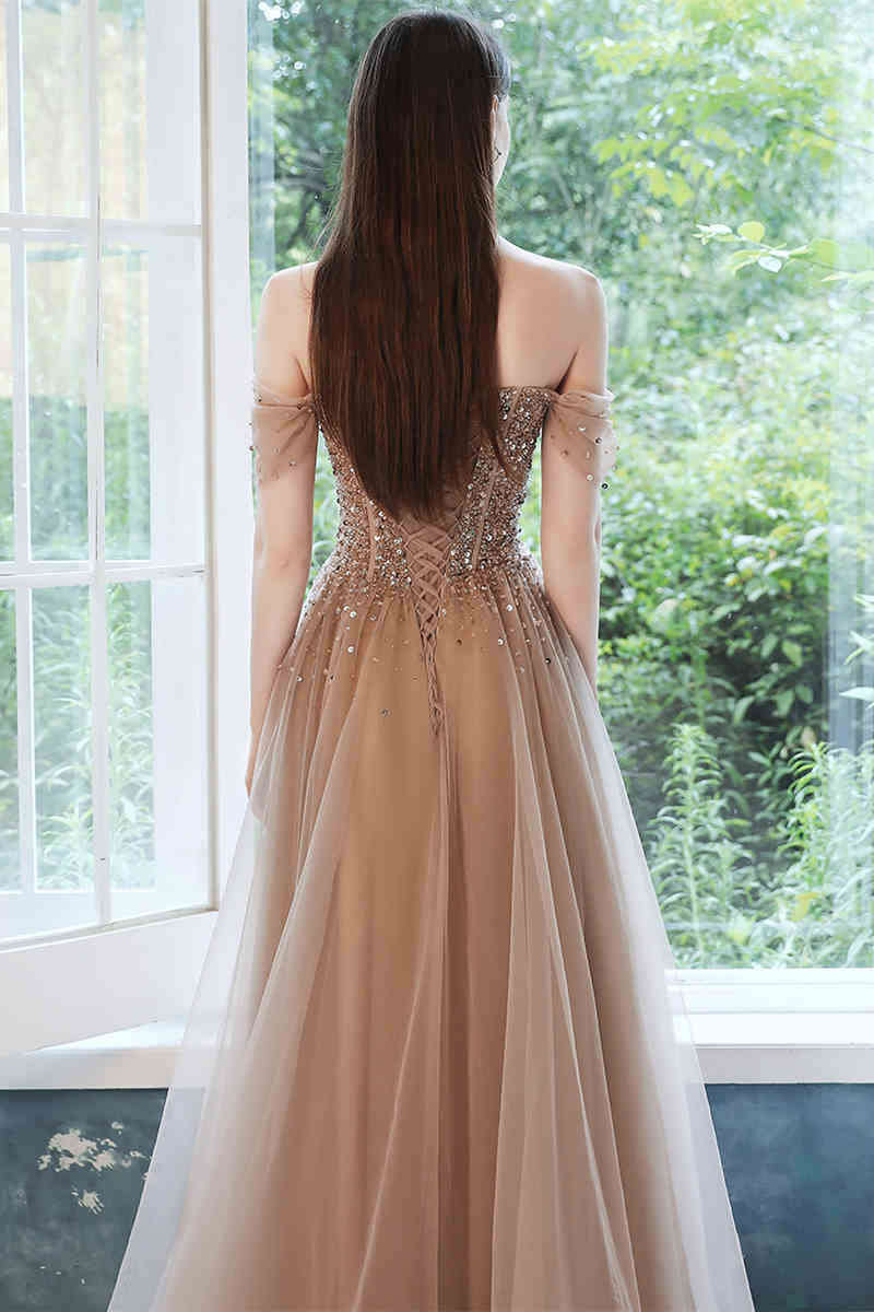 Stunning Champagne Tulle Long Party HZ0307