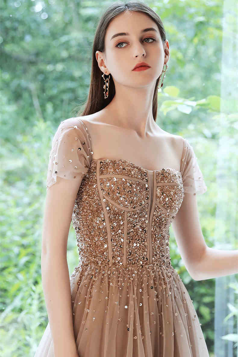 Stunning Champagne Tulle Long Party HZ0307